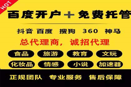 成功SEM代理案例：精准投放的策略